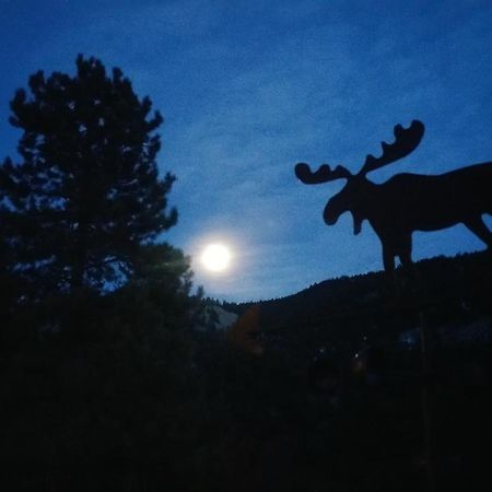 Alpine Moose Lodge Lake City Exterior foto