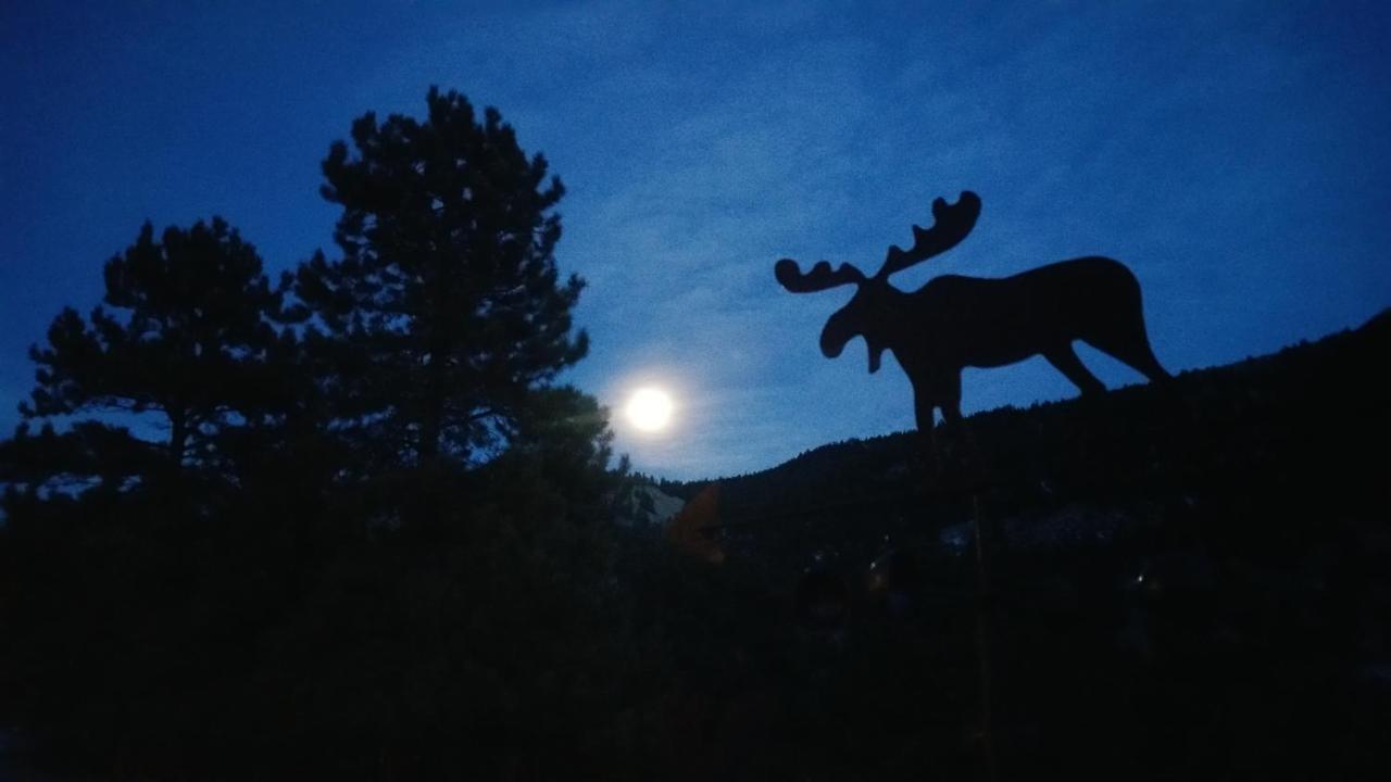 Alpine Moose Lodge Lake City Exterior foto